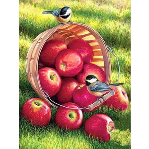 Apple Bird 5d Diamond Embroidery