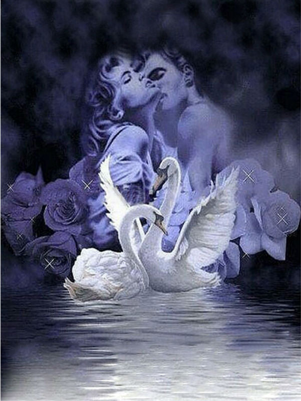 Swan Lovers Married Diamond Art