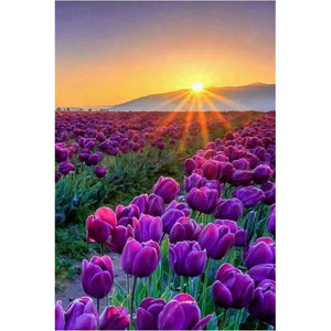 Embroidery Lavender 5D