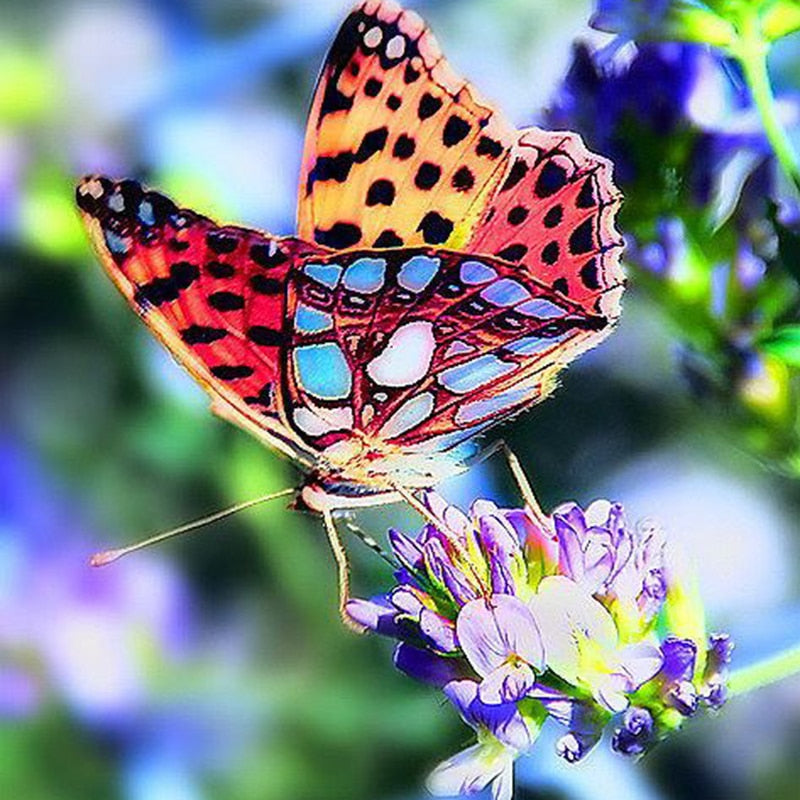 Butterfly Flower Diamond Embroidery