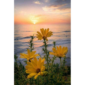 Sunset Flower 5D