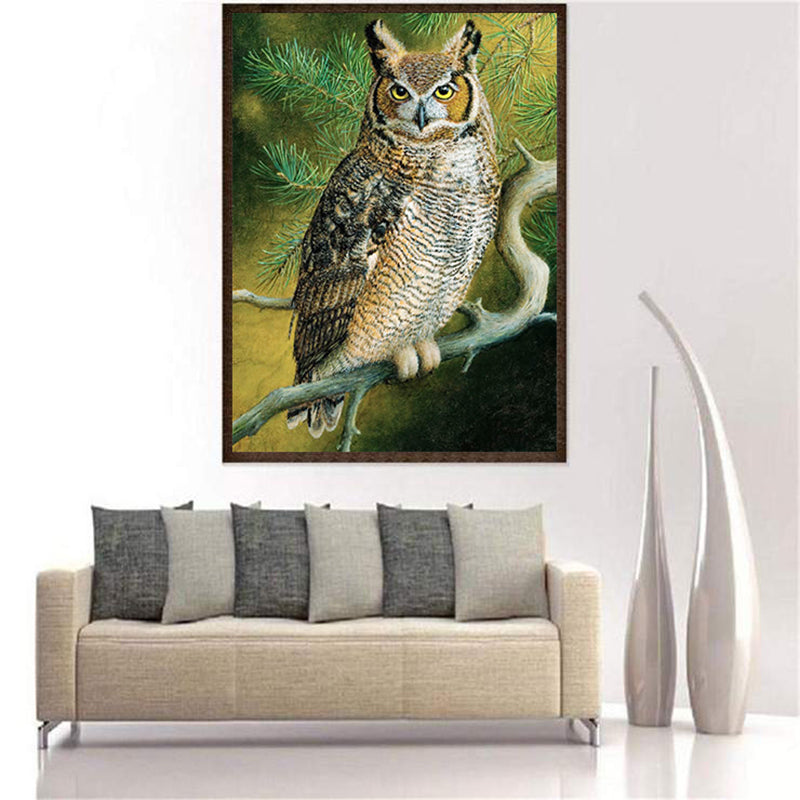 Lovely Owl Look At Viewer