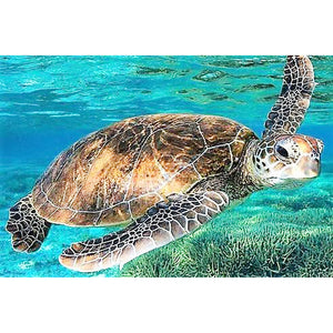 sea turtle diamond embroidery