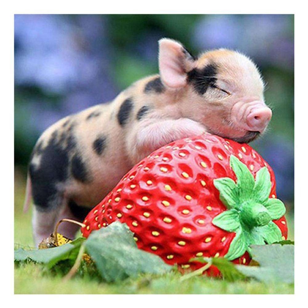 Diamond Embroidery Strawberry Pig