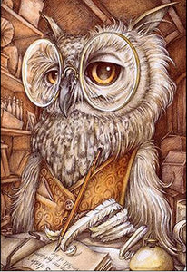 Owl Scholar Cartoon 5D Art