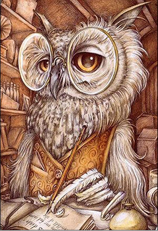 Owl Scholar Cartoon 5D Art