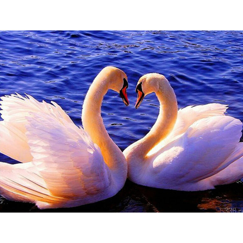 Pair Of Swan Diamond 5D Painting