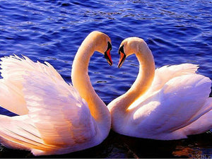 Pair Of Swan Diamond 5D Painting