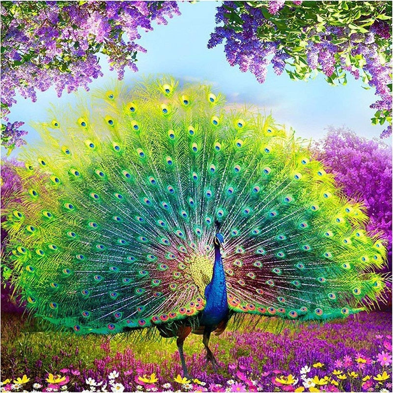 Diamond Painting Peacock