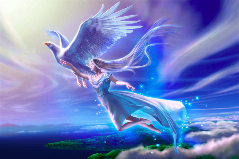 Dream Angel Pigeon Diamond Painting